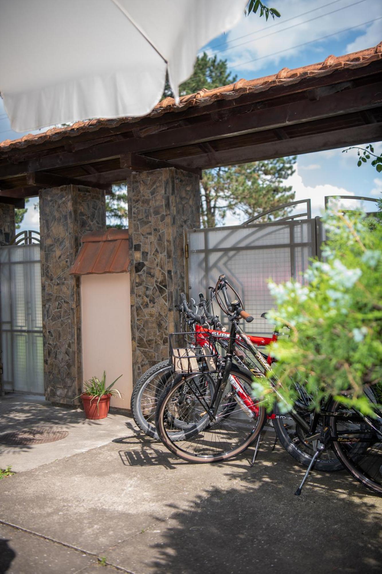 Guesthouse Kristina Palić Dış mekan fotoğraf
